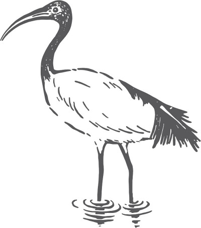 宜必思