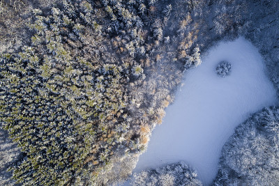 空中的冬季仙境与下奥地利雪林的嗡嗡声