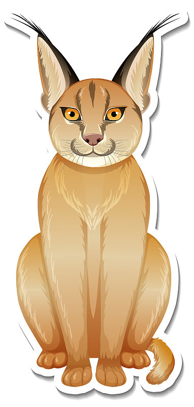 野猫卡通人物贴纸模板