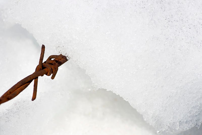 铁丝网上布满了雪和锈。