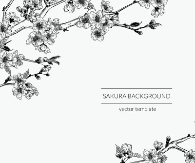 Hand drawn vintage sakura branches background. Bot
