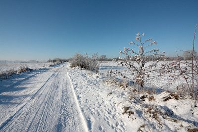 雪巷