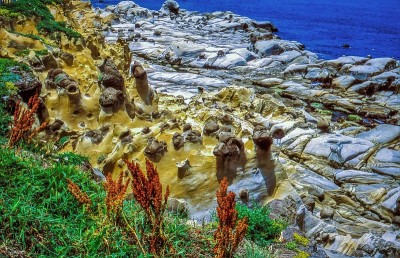 台湾海岸地质构造，和平岛公园