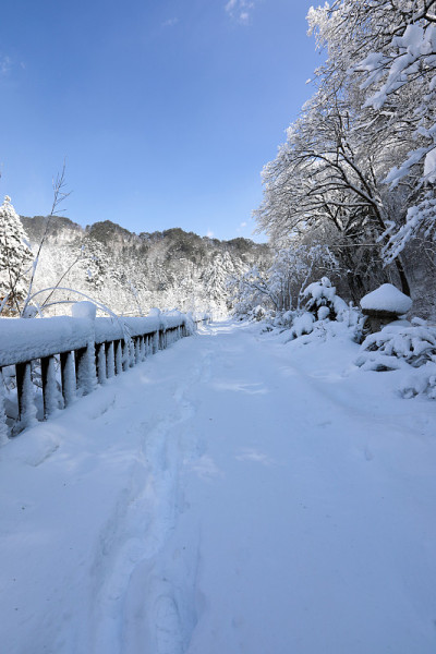 白雪皑皑的冬天，森林道路和蓝天。(韩国江原道御田山国家公园)