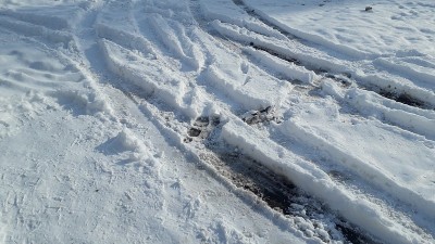 白色的雪地上留下了汽车的车辙