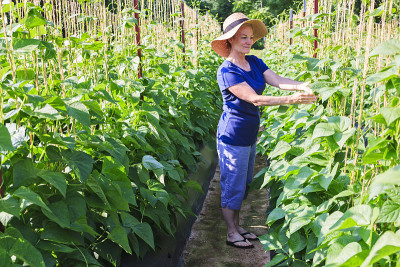 在菜园或农场种植豆类植物的妇女