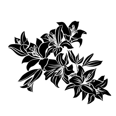 黑色轮廓莉莉。