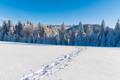 波兰贝斯基萨迪克山脉的雪地上的脚印