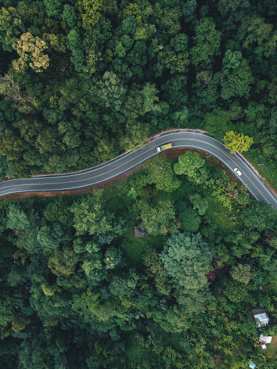 在雨季，绿油油的路爬上山