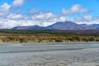 背景中的恩高鲁霍火山，新西兰