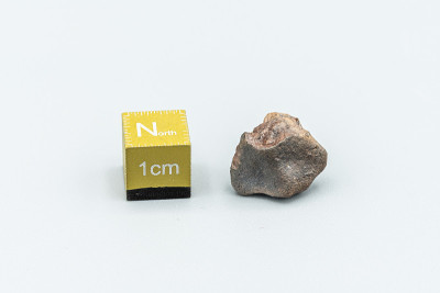 Chondrite Meteorite L Type isolated, a piece of ro
