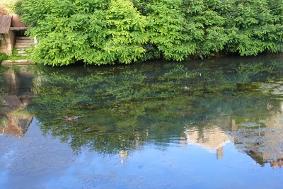 Nivernais运河穿过小镇，倒影在一座别墅的水中。Clamecy Nièvre Bourgogn