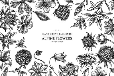 花图案有黑白风铃花、雪绒花、天竺葵、龙胆