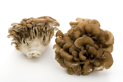 Maitake Mushrooms