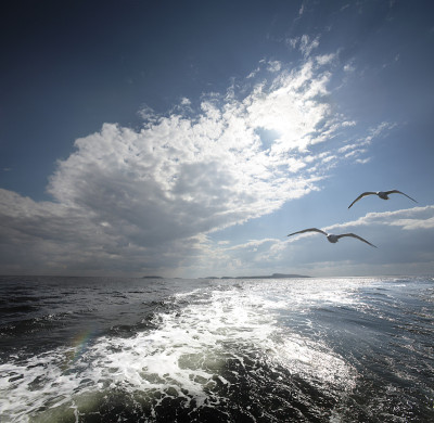 白海