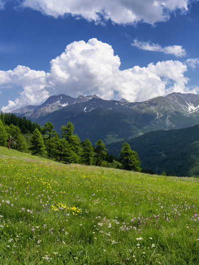 通往阿西塔的路上的山景