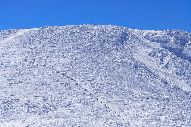 藏山的熊野山