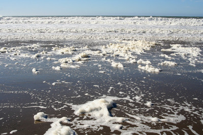 海滨泡沫