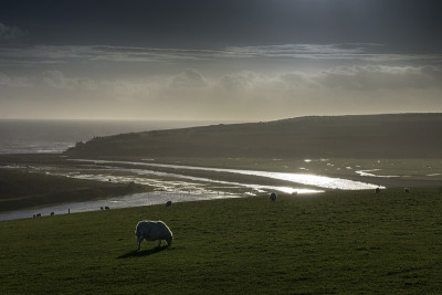 英国苏塞克斯郡的Cuckmere Haven