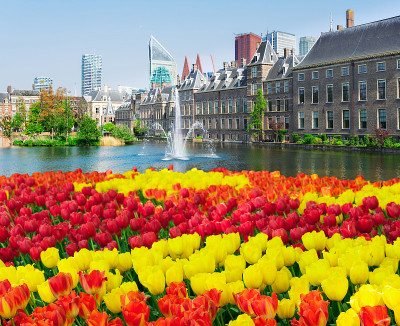 Binnenhof -荷兰议会，荷兰