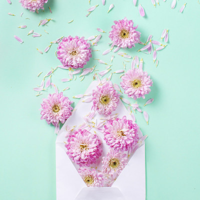 信封用鲜花