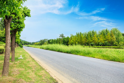 蓝天下的柏油路和绿树
