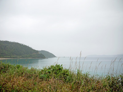 Amami海岸