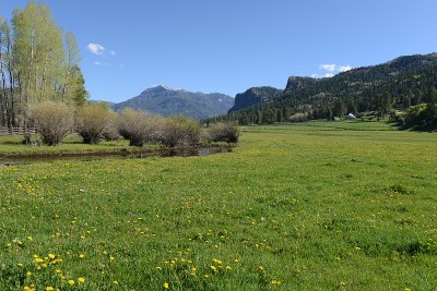 春天的山草地