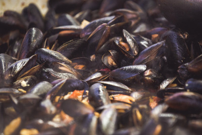 烤盘上的新鲜贻贝。Cozze ricetta