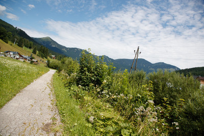 夏天走了。山里的路。上奥地利州,歌骚
