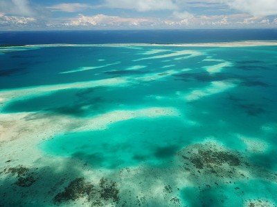 帕劳的德国海峡，蝠鲼潜水点