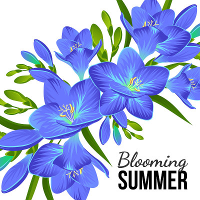 用小苍兰和花蕾插花