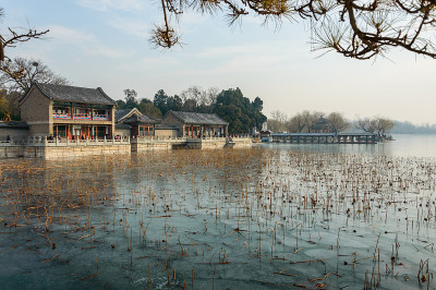 从皇家园林到冰封的昆明湖岸边的中国建筑，干荷花。