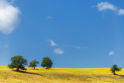 巴西利卡塔Val D'Agri的夏季乡村景观和鲜花田