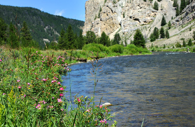 Flyfishing在蒙大拿