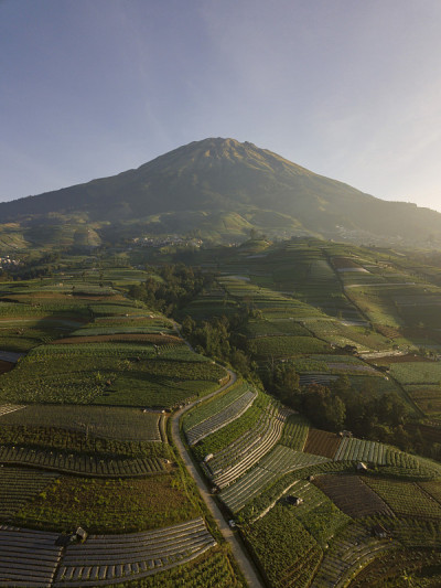 美丽的Sukomakmur村庄在早晨与农场的风景和山