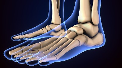 3d插图的男性人体骨骼足骨解剖。