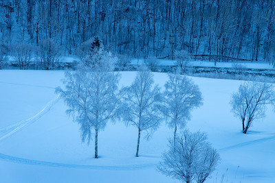 北海道冬季景观，富兰野雾凇