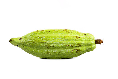 Cacoa关闭