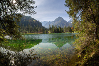 奥地利Schiederweiher的萨默景观
