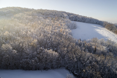 空中的冬季仙境与下奥地利雪林的嗡嗡声