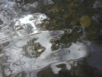 水
