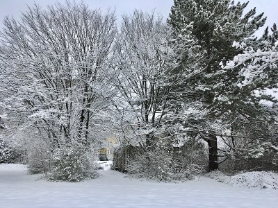 慕尼黑城下着雪。