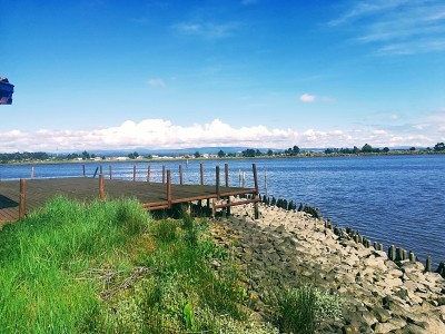 根据河