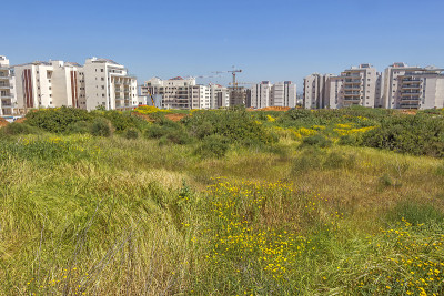 住宅区建设。