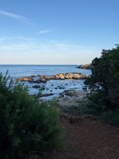 d' anti - Bay