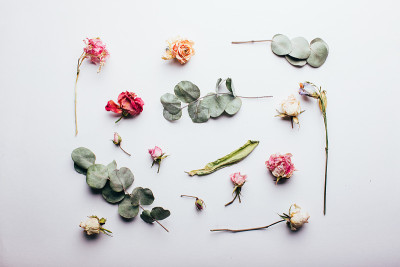 干的花朵图案