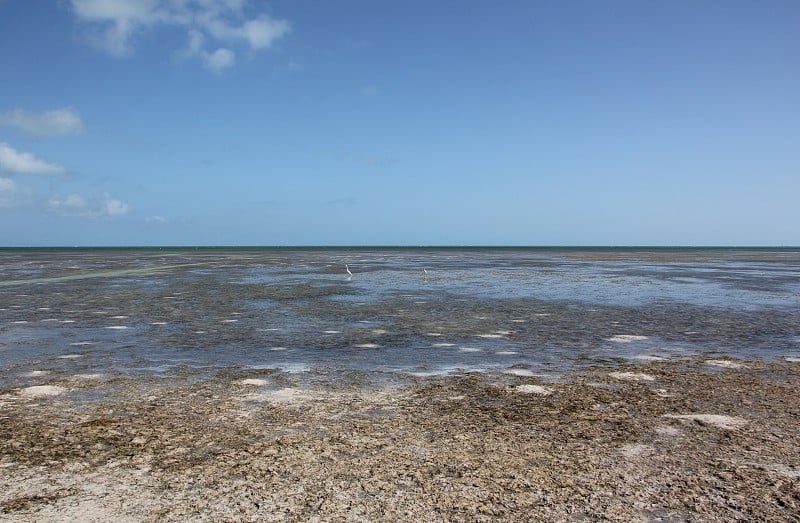 苍鹭关闭七英里大桥，海外高速公路，小鸭子礁岛，佛罗里达群岛，美国