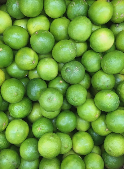酸橙