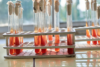 用克立格勒琼脂培养基接种细菌前将试管置于固定器中